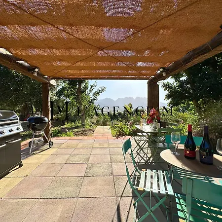 Grand Studio Balanina Maquis Proche Calvi Διαμέρισμα *